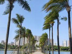 -南宁南湖公园