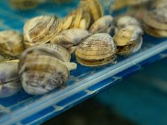-鑫渔港海鲜本地菜·山海关浑锅(东戴河店)