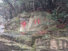 -庐山风景区花径公园