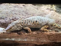 -酷嗒动物文化乐园(cutezoo西溪乐天城店)