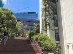 -香港大学