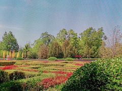 -大槐树寻根祭祖园