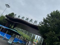 -黄海国家森林公园