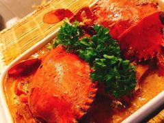 -茉莉.Red Crab