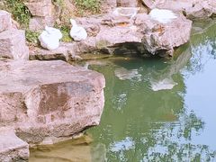 -台州府城(东湖)