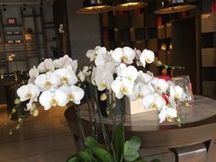 -王德传茶庄(上海新天地店)