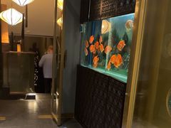 -华夏良子·足道SPA艾灸(王府井店)