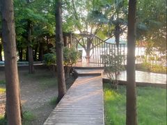-洛阳市隋唐城遗址植物园