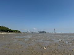 -上海吴淞炮台湾国家湿地公园