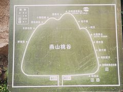 -大岭沟猕猴桃谷风景区
