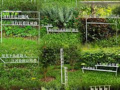 -云溪植物园