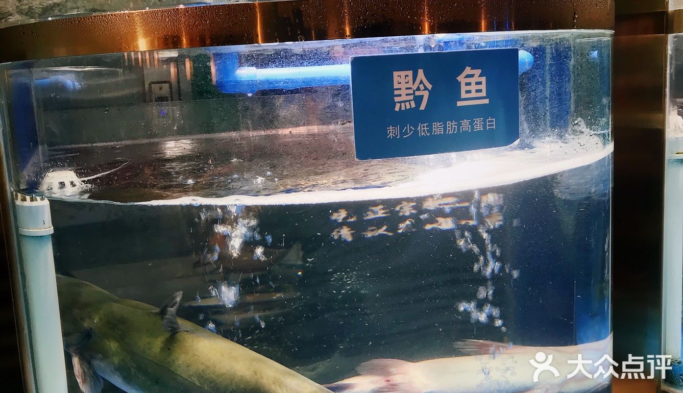 肥肠和鱼的完美搭配：绝对不能错过