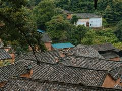 -杨家堂村