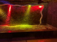 -碧中海汤泉汗蒸酒店