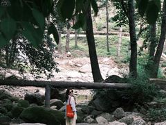 -洛阳白云山景区