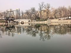 -莲湖公园
