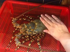 -班赞海鲜市场