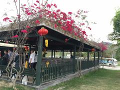 -亚龙湾国际玫瑰谷