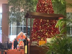 -北京望京凯悦酒店The Lounge大堂酒廊
