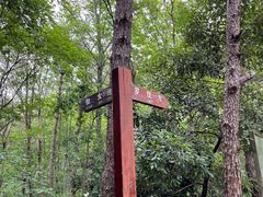 -青龙山国家森林公园