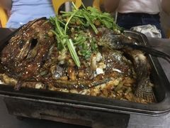 -鸭嘴鱼