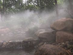 -成都市活水公园