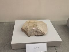 -西侯度遗址