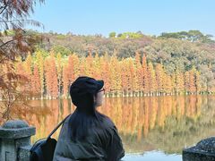 -三水森林公园