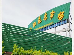 -曲阳花鸟市场(曲阳路店)