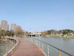 -九里河湿地公园