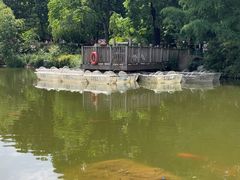 -五凤溪古镇
