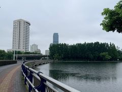 -合肥市图书馆