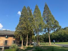 -东钱湖小普陀景区