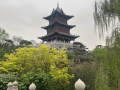 -迎泽公园