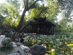 -莲湖公园