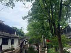 -练塘古镇