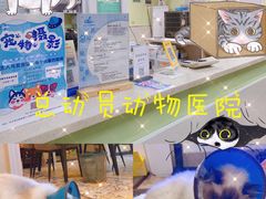 -总动员动物医院(宝丰院店)