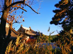 -潭柘寺景区