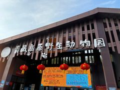 -青藏高原野生动物园