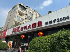 -阿五黄河大鲤鱼(建业路店)