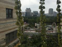 -嘉定宝龙广场