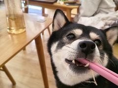 -柴の食堂·日式家庭料理·熊之肆(大学路店)