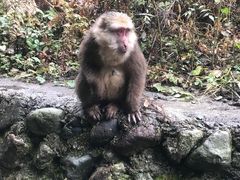 -九峰山