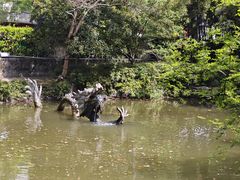 -汇龙潭