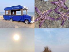 -巧克力渔家.小船海鲜胶东菜(万平口店)