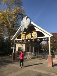 -酷酷兔少儿拓展天地