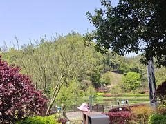 -桃花岭景区