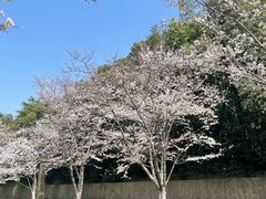 -苏宁钟山国际高尔夫酒店大堂酒廊