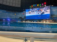 -泉城欧乐堡海洋极地世界