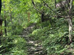 -本溪汤沟绿石谷森林公园